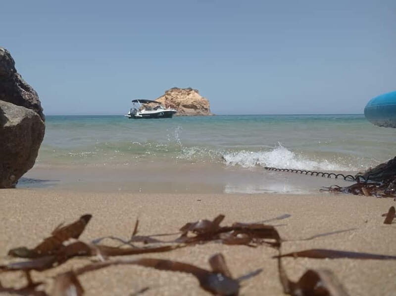 Ibiza: short "north of the island" tour from the sea in a private boat - Who Will Love This Tour?