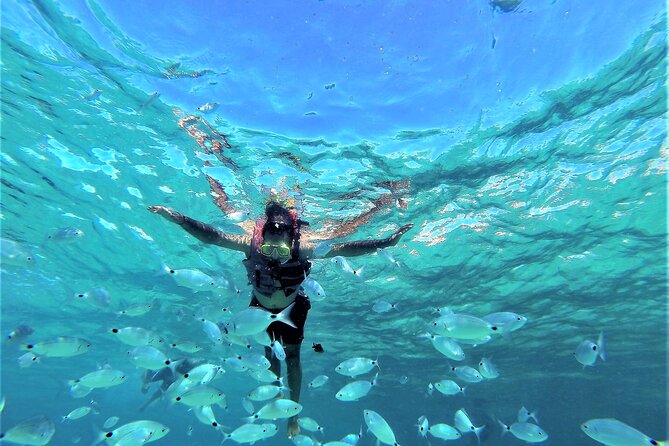 Ibiza Snorkeling Beach and Cave Cruise Tour - Visual Content