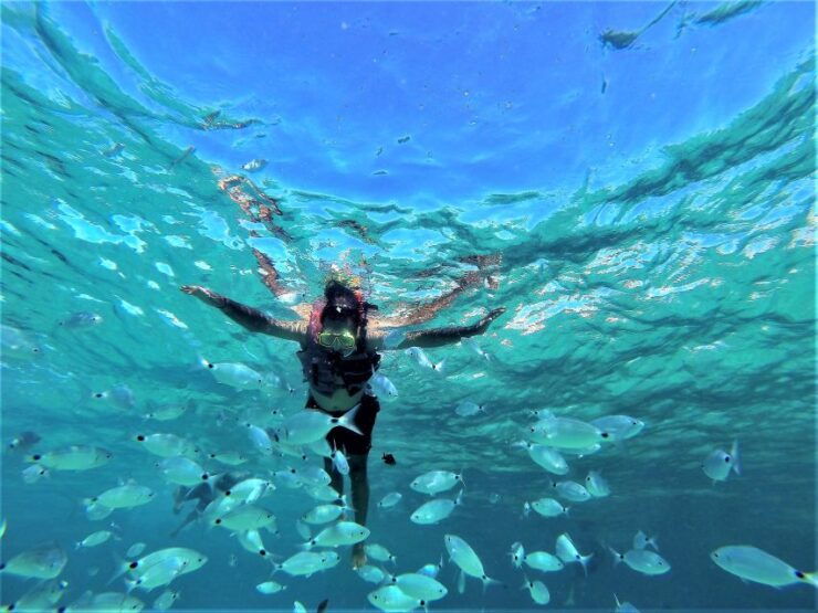 Ibiza: Snorkeling, Sunset Beach and Cave Boat Trip - Activity Details