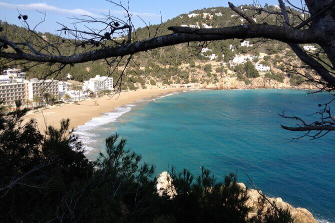 Ibiza Tour Island Bus Tour with Hippie Market Visit - Final Thoughts: Is This Tour Worth It?