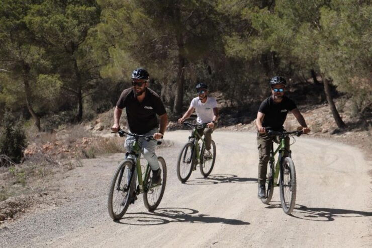 Ibiza: Town Bike Tour - Tour Details