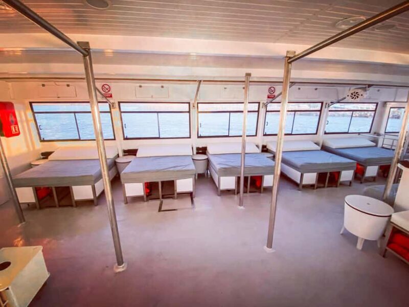 Ibiza: VIP Catamaran Party with DJ, Open Bar, Paella, and Nightclubs - The Bottom Line