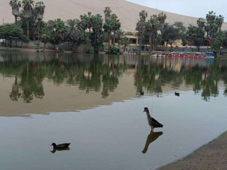 ICA: City Tour of Ica and Huacachina - Good To Know