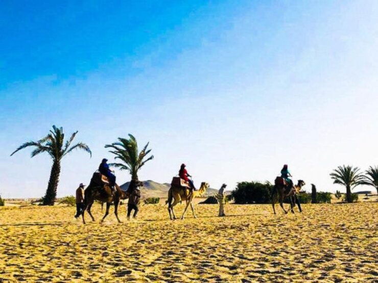 Ica: Dromedaries Swimming Pool, Games, Mini-Farm - Booking Information