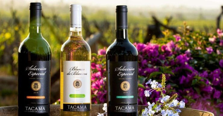 Ica: Pisco Route Tacama, Arrabal, Bodega Lovera - Experience Highlights