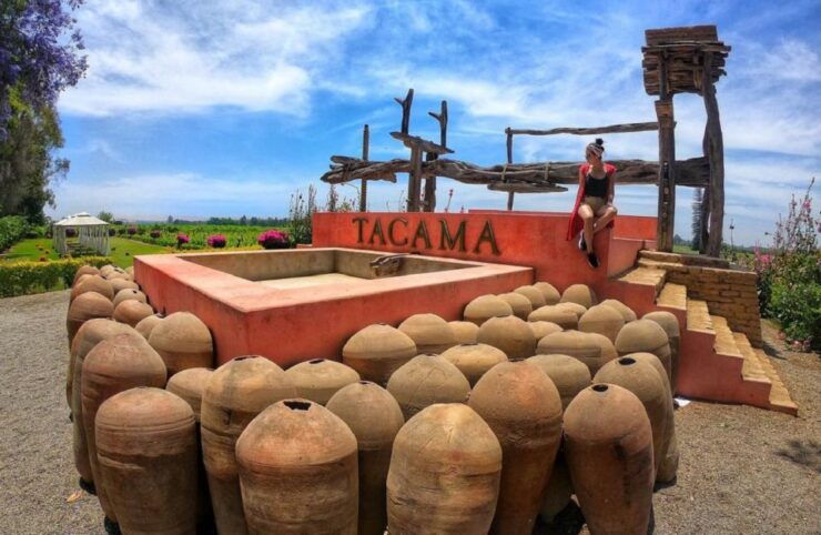 Ica: Pisco Wineries and Vineyards Day Tour - Good To Know