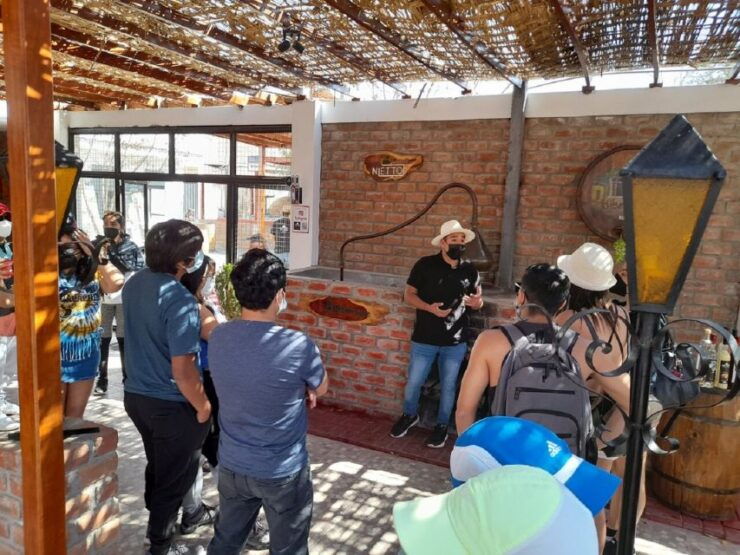 Ica: Pisco Wineries and Vineyards Day Tour - Experience Highlights
