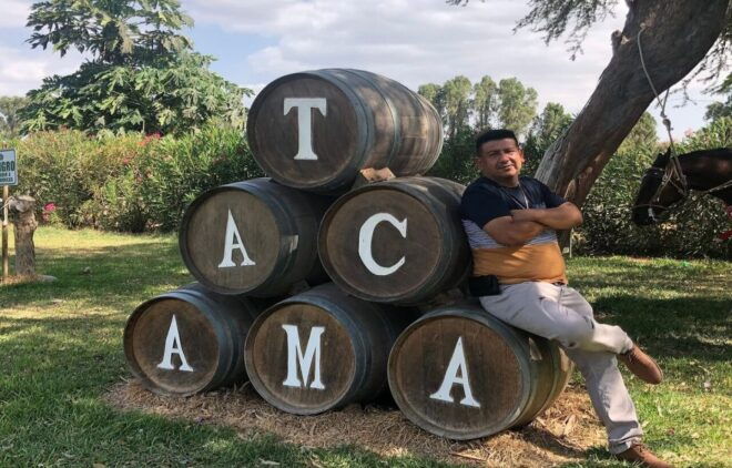 Ica: Pisco Wineries and Vineyards Day Tour - Itinerary