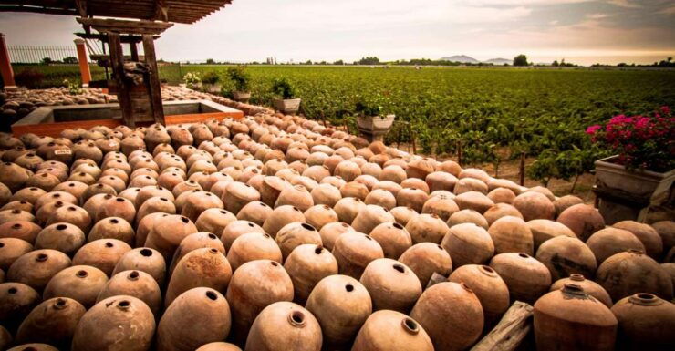 Ica: Private City Tour & Wine Tasting - Tour Overview