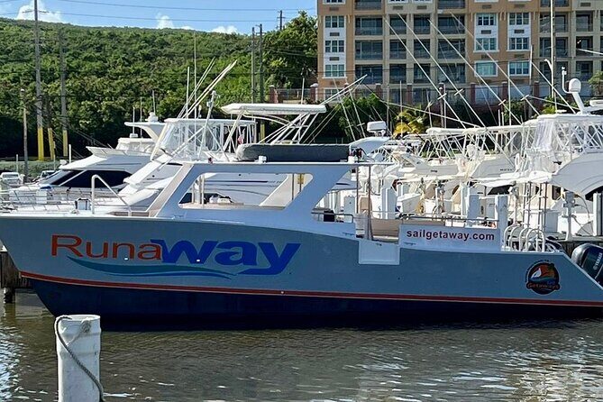 Icacos Double Dip Power Catamaran Snorkel & Beach Tour - Who Will Love This Tour?