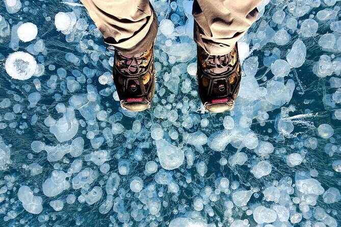 Ice Bubble Adventure on Abraham Lake - Who Will Love This Tour?  