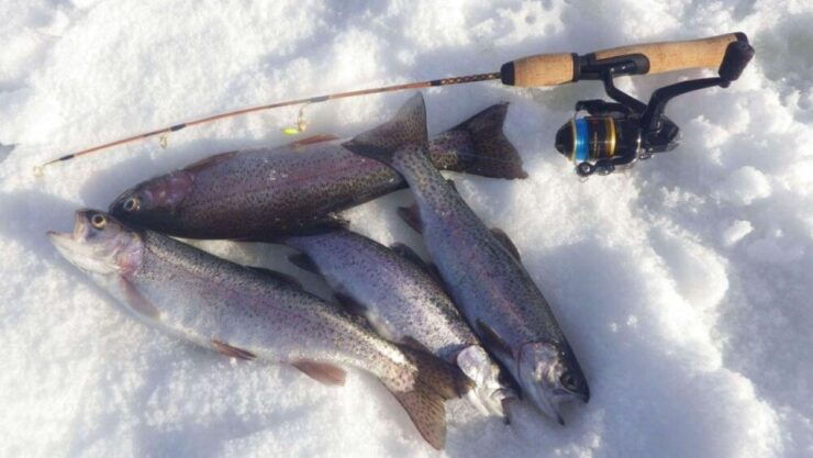 Ice Fishing Adventure in Levi With Salmon Soup - Activity Overview