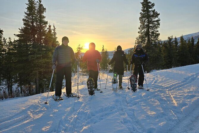 Ice Fishing and Aurora Extravaganza - The Ultimate Guide to the Ice Fishing and Aurora Extravaganza