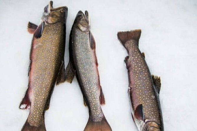 Ice Fishing - Overview and Booking Information