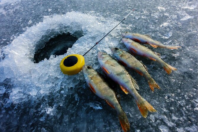 Ice Fishing Experience in Lapland - What to Expect
