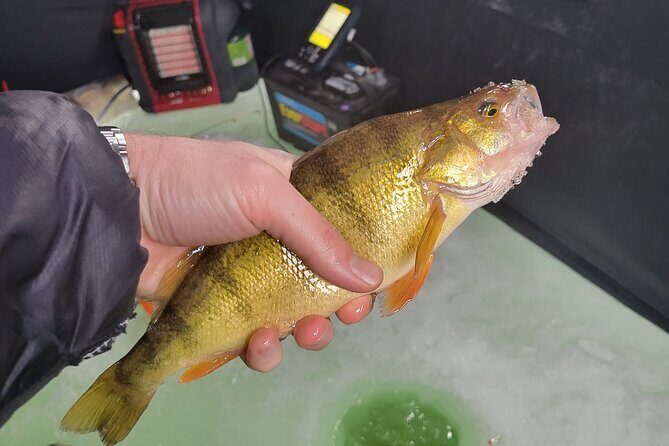 Ice Fishing in Park City - Good To Know