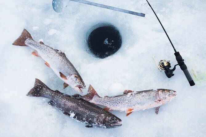 Ice Fishing Tour from Fairbanks - Good To Know