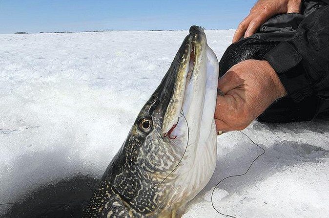 Ice Fishing Tour from Fairbanks - FAQ