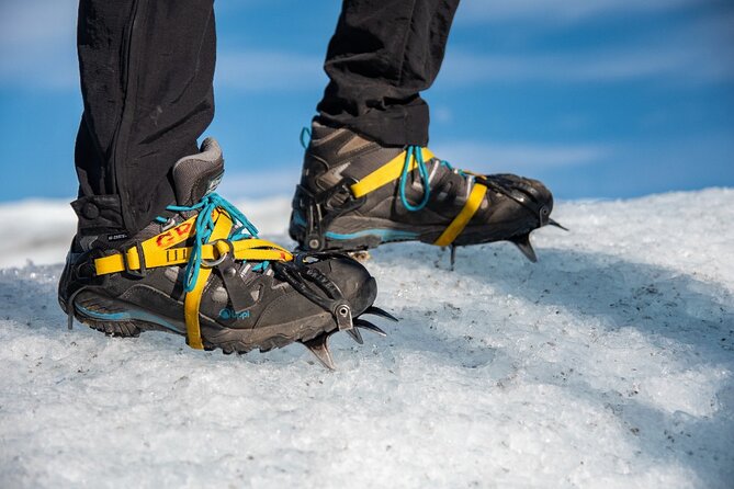 Ice Hike on Grey Glacier From Torres Del Paine - Pricing