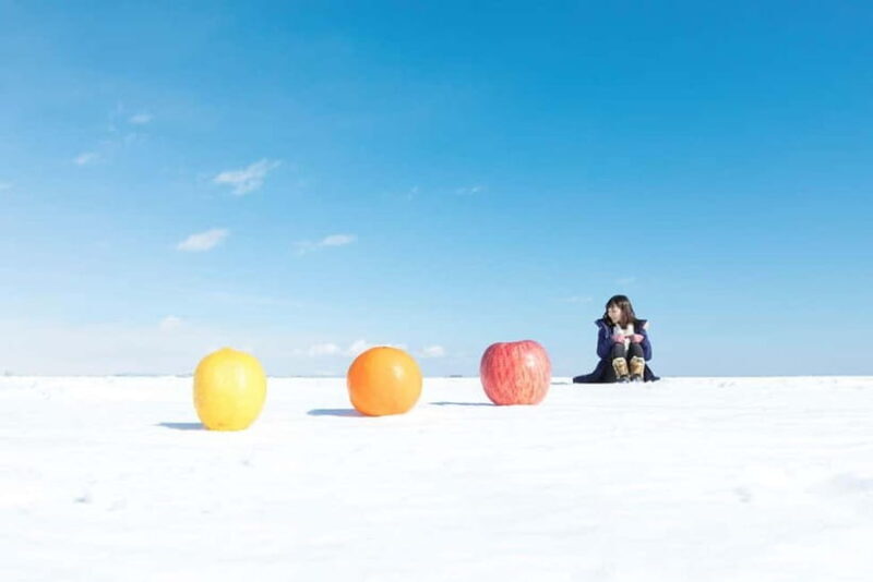 Ice Horizon Walk: Frozen Sea Adventure of Notsuke Peninsula - Why This Tour Is Great Value