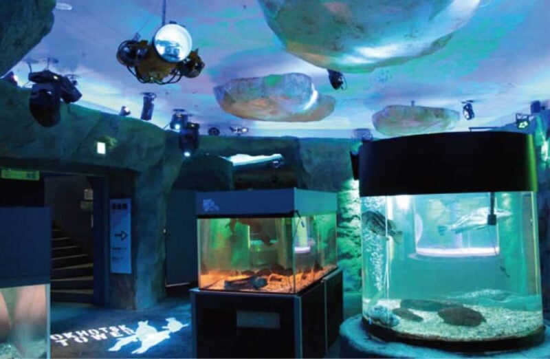 Icebreaker GARINKO GO III Cruise Explore Ice and Snow Tour - Who Is This Tour Best For?