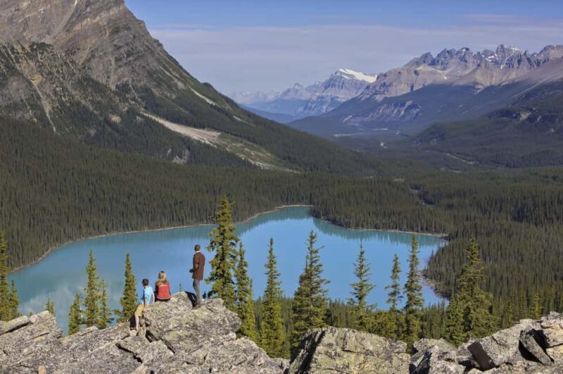 Icefield: Bow Lake, Columbia Icefield, Peyto Lake Day Tour - Why This Tour Offers Good Value