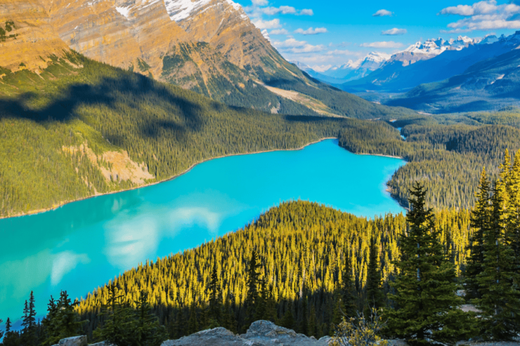 Icefields Parkway: Self-Guided Majestic Peaks Drive Tour - Good To Know