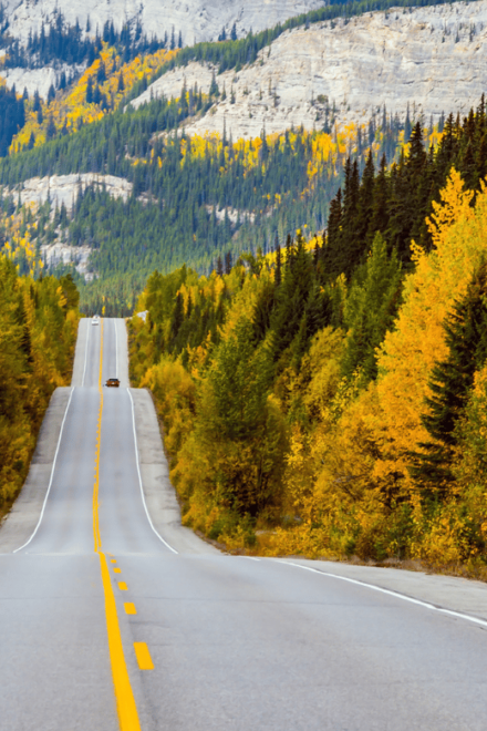 Icefields Parkway: Self-Guided Majestic Peaks Drive Tour - Audio Tour Features