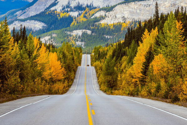 Icefields Parkway: Self-Guided Majestic Peaks Drive Tour - Journey Through Icefields