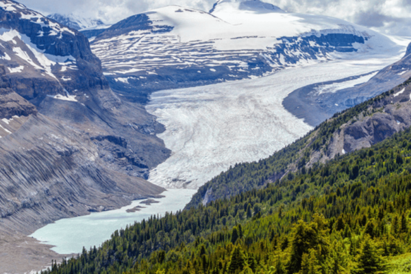 Icefields Parkway: Self-Guided Majestic Peaks Drive Tour - Discovering Columbia Icefield