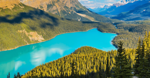 Icefields Parkway: Self-Guided Majestic Peaks Drive Tour - Exploring Glacial Landscapes