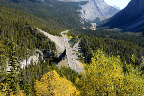 Icefields Parkway: Self-Guided Majestic Peaks Drive Tour - Frequently Asked Questions