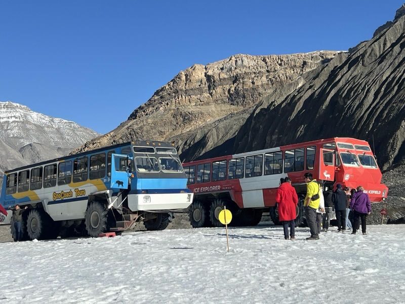 Icefields Parkway Tour: Columbia Icefield Adventure, Bow Lake, and Peyto Lake - At a Glance: What Makes This Tour Worth Considering