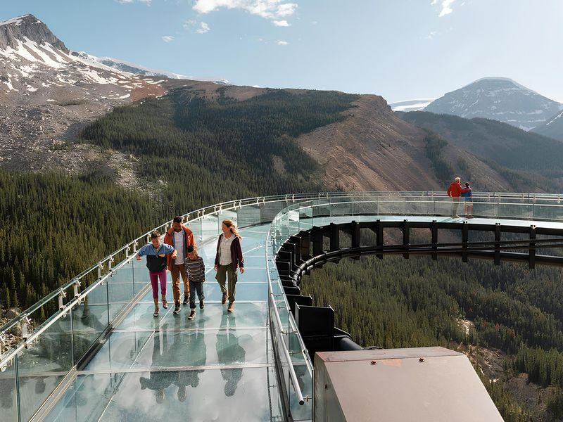 Icefields Parkway Tour: Columbia Icefield Adventure, Bow Lake, and Peyto Lake - Peyto Lake: The Viewpoint Stop