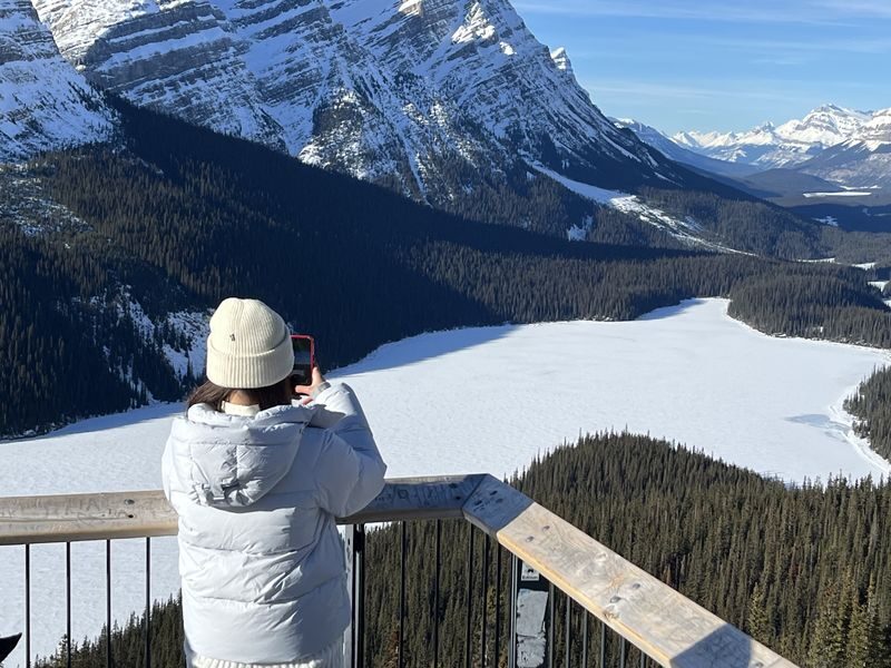 Icefields Parkway Tour: Columbia Icefield Adventure, Bow Lake, and Peyto Lake - Columbia Icefield: Choose Your Glacier Experience Carefully