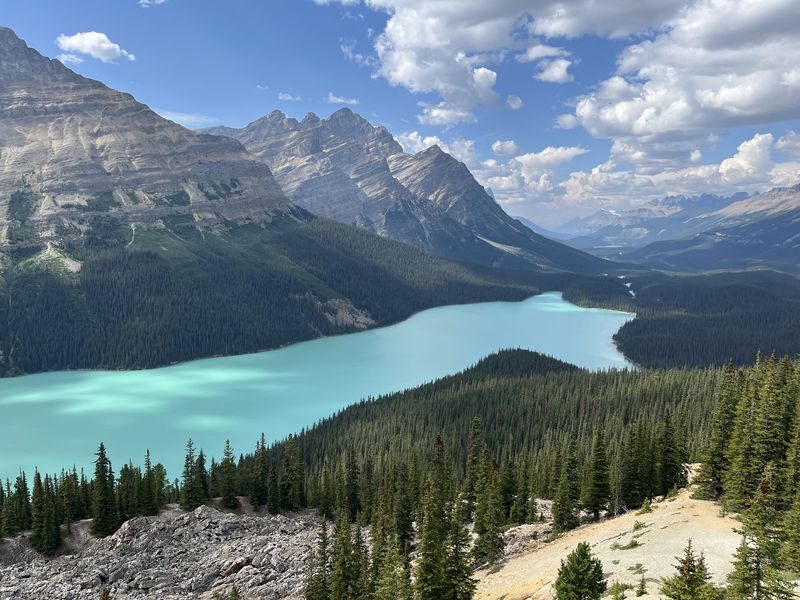 Icefields Parkway Tour: Columbia Icefield Adventure, Bow Lake, and Peyto Lake - Guides, Group Pace, and the Long Drive