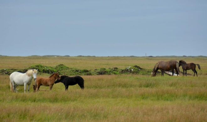 Iceland: Iceland Complete 10 Day Multiday Guided Tour - Important Information