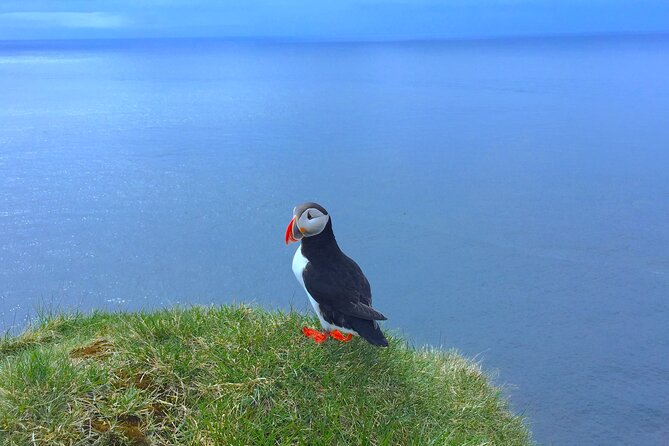 Iceland: South Coast Private Tour, Glaciers, Waterfalls & More - Pricing and Booking Information