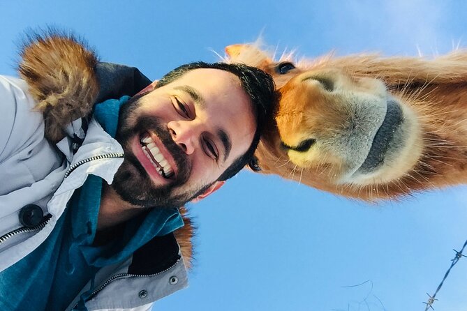 Iceland: South Coast Private Tour, Glaciers, Waterfalls & More - Frequently Asked Questions