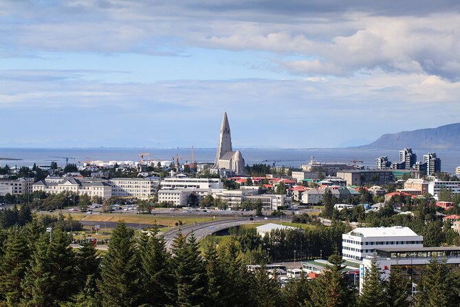 Iceland Stopover Combo: Blue Lagoon, Golden Circle & South Shore - Additional Tour Information