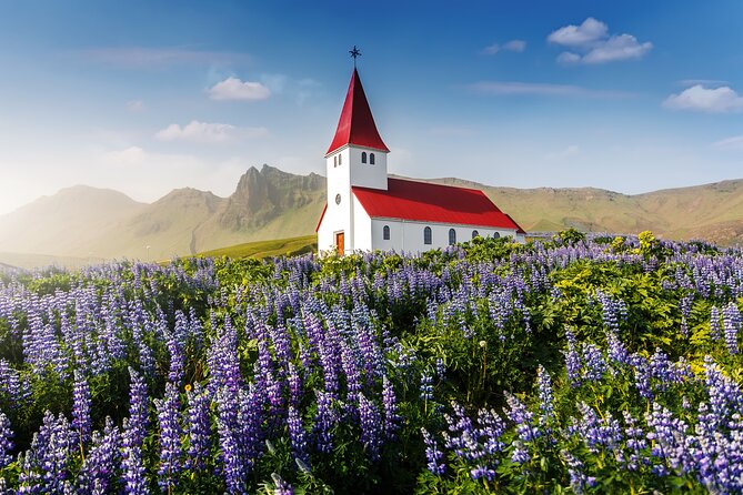 Iceland Stopover: South Shore Tour - Reviews