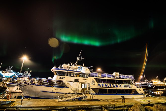 Iceland Super Saver: Northern Lights Cruise Plus Whale-Watching Tour From Reykjavik - Negative Reviews and Potential Issues
