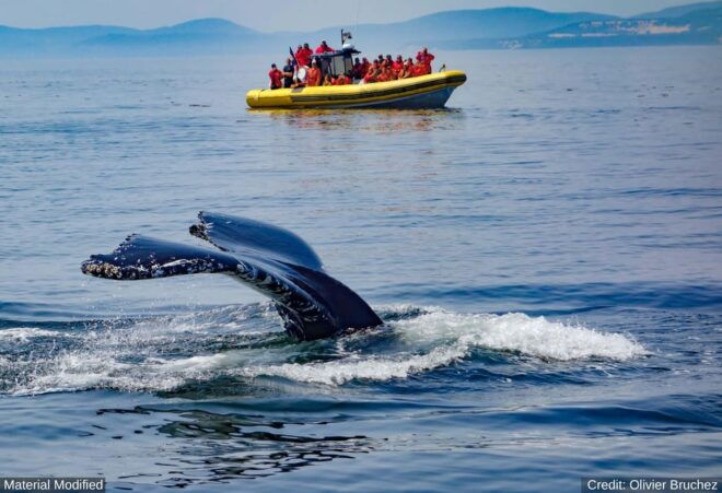 Iceland Trip Planning Services Itinerary, Transport & Hotels - Transportation and Accommodation Arrangements