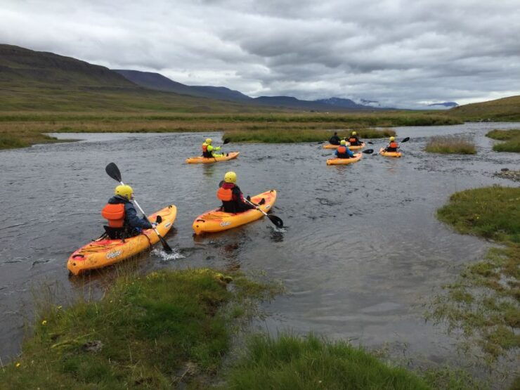 Icelandic Kayak Trip - Experience Highlights