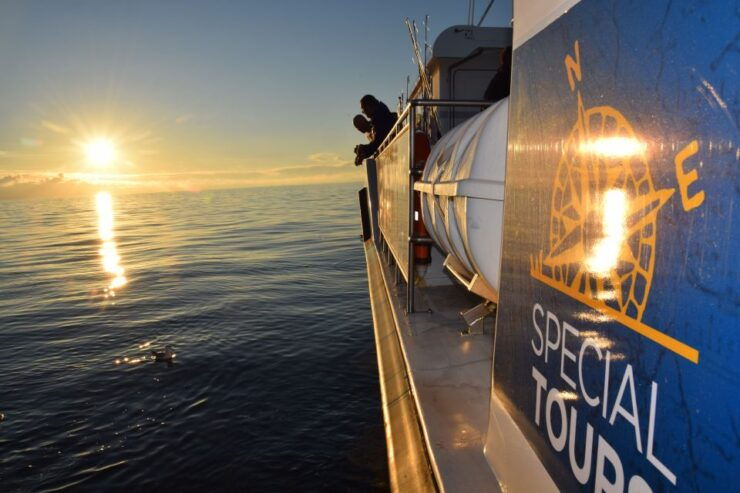 Icelandic Sea Fishing From Reykjavik - Experience Highlights
