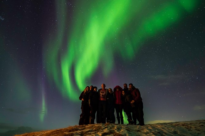 Icelands South Coast & Northern Lights Day Trip From Reykjavik - Tour Highlights