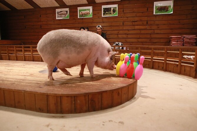 Icheon Mountain Hiking & Culture Tour - Local Cuisine