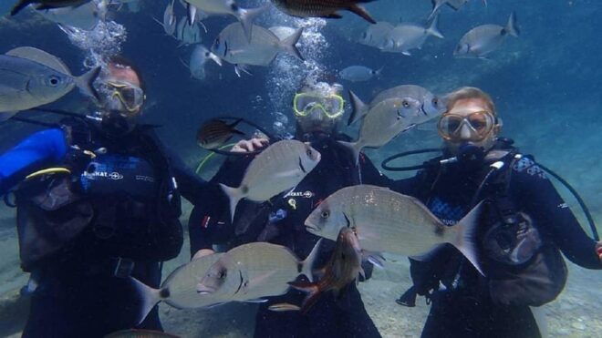 Icmeler: Scuba Diving With a Qualified Instructor - Inclusions and Exclusions