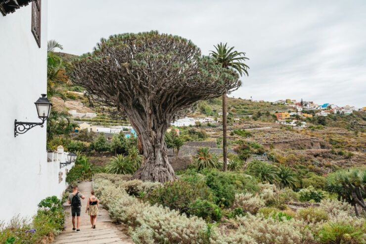 Icod De Los Vinos: Dragon Tree & Botanical Garden Ticket - Ticket Details