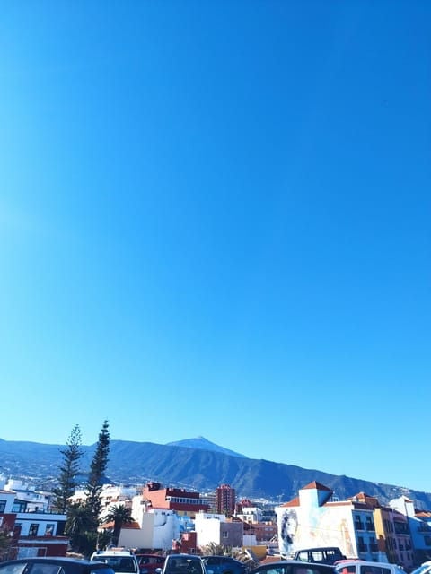 Icod De Los Vinos: Walking Route 1h30 - Highlights and Experience